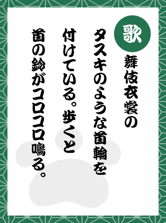 歌舞伎衣裳のタスキのような首輪を付けている。歩くと首の鈴がコロコロ鳴る。